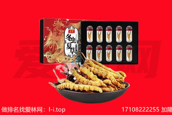 南通市回收虫草.jpg